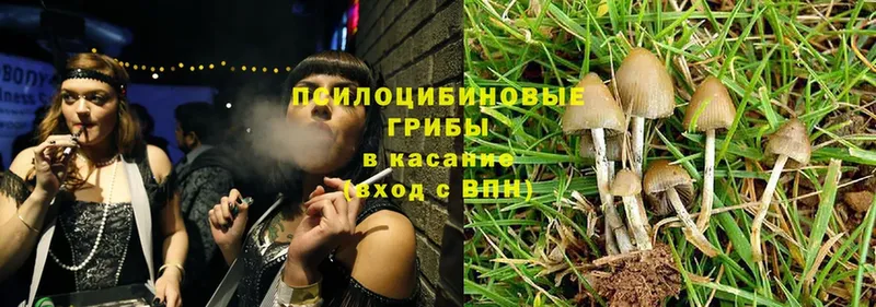 Псилоцибиновые грибы MAGIC MUSHROOMS Карабулак